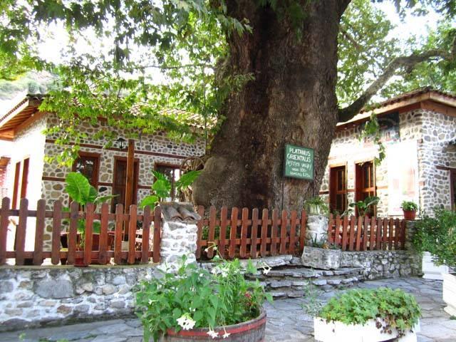 Комплекс Стария Чинар Μελένικο Εξωτερικό φωτογραφία