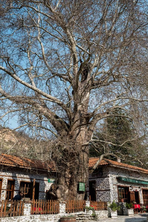 Комплекс Стария Чинар Μελένικο Εξωτερικό φωτογραφία