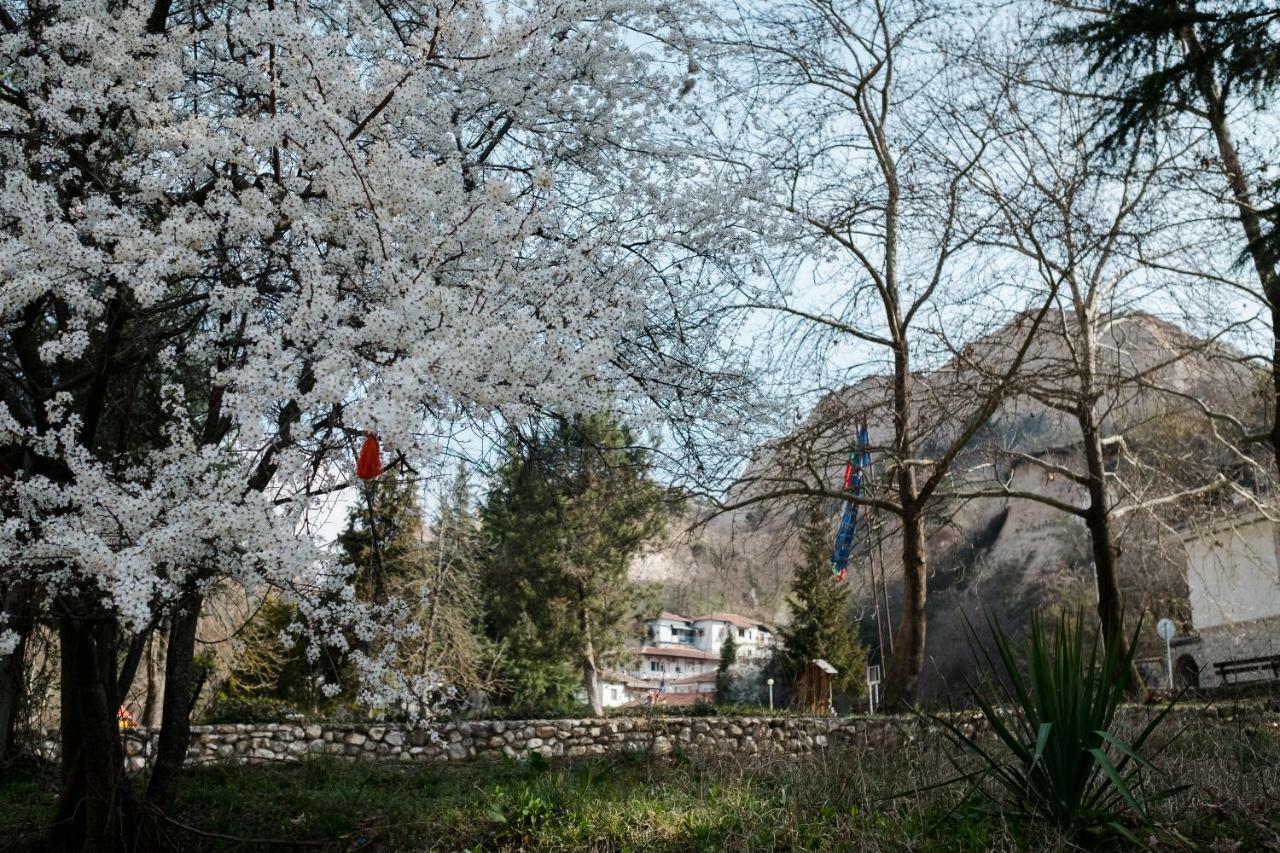Комплекс Стария Чинар Μελένικο Εξωτερικό φωτογραφία