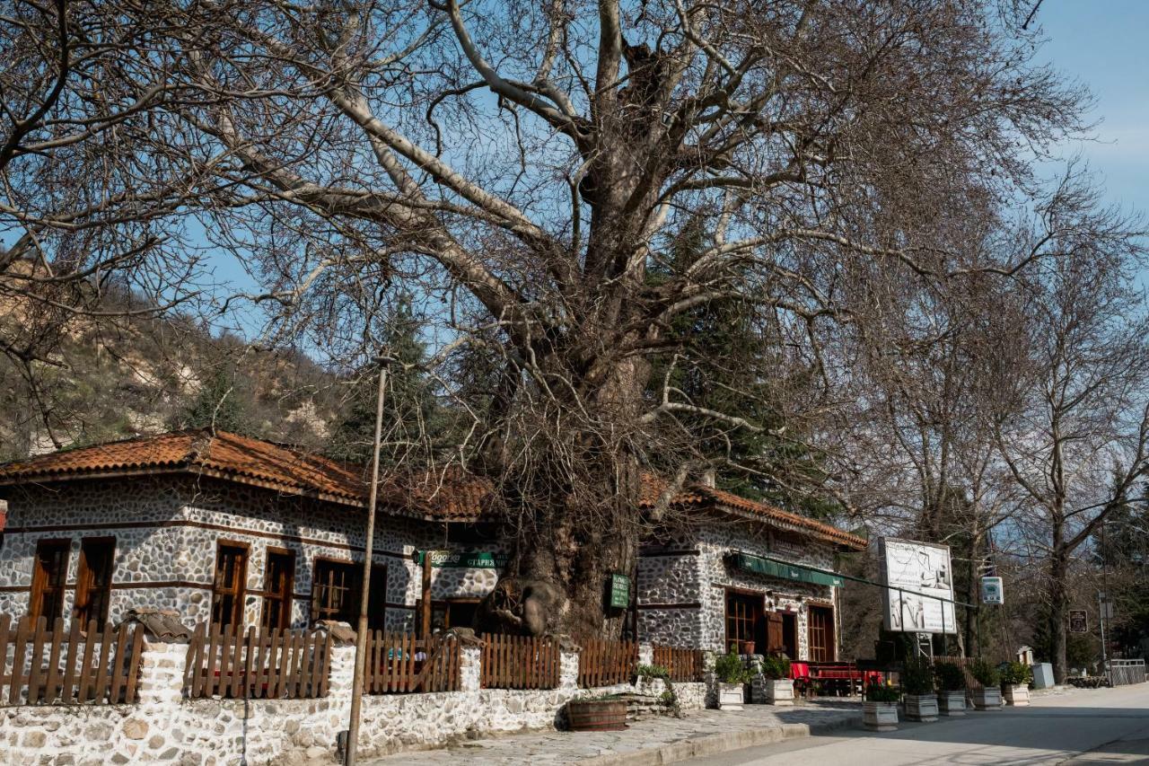 Комплекс Стария Чинар Μελένικο Εξωτερικό φωτογραφία
